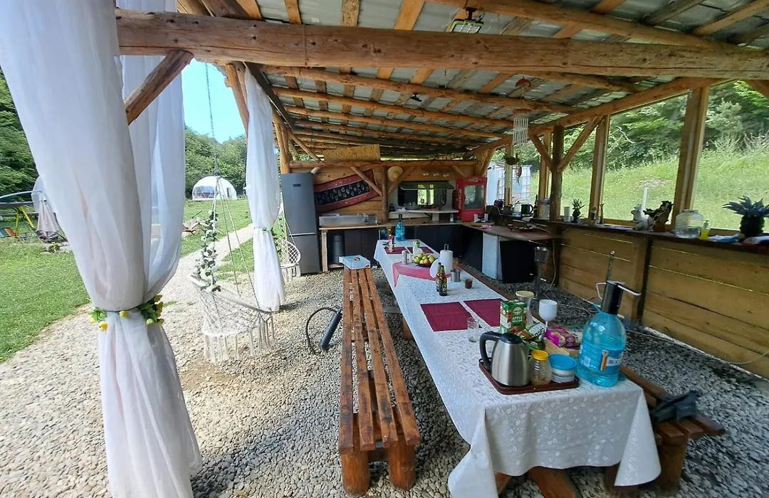 Forest Glamping-1