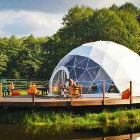 Forest Glamping-3